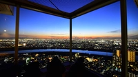 アイ・リンクタウン展望施設 画像