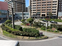八千代緑が丘駅北口ロータリーバラ園画像