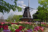 ふなばしアンデルセン公園画像