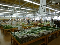 JA千葉みらい農産物直売所しょいか～ご習志野店画像