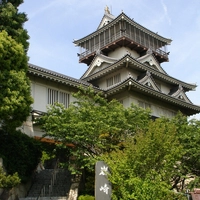 岩崎城　★画像
