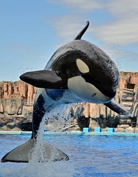 名古屋港水族館　◎画像