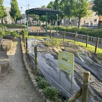 せせらぎ公園花壇画像