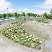砂原第二公園花壇画像