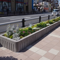 亀有駅南口画像