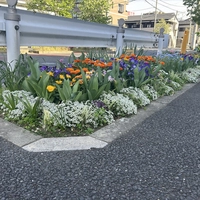新小岩４－３４先画像