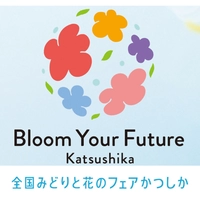 スカイデッキ　たつみ画像