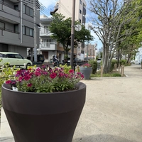曳舟川親水公園亀有４－１７先画像