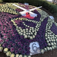 小菅西公園　花時計画像