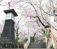 Shimogoinden Bridge (Train Museum)画像