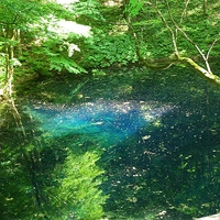 ［白神体験プログラム］（合）白神山地ガイド会画像