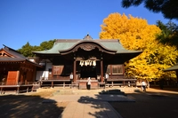 葛飾八幡宮 画像