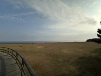 浦安市総合公園画像