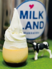 MILKLAND HOKKAIDO→TOKYO画像