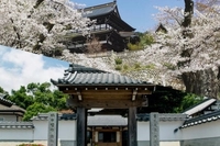 関善光寺・千手院エリア画像