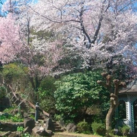 山王花清水公園　弁天池画像
