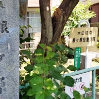 根ヶ原神社画像