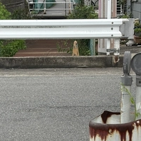 与ノ割橋画像
