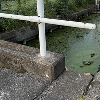 東三14号橋画像