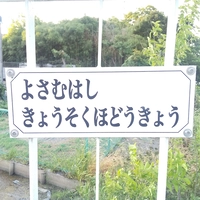 夜寒橋橋側歩道橋画像