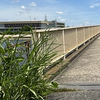 大海用橋橋側歩道橋画像