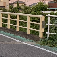 江向橋画像