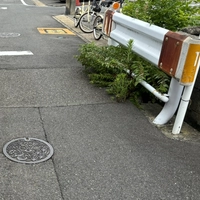 本町6号橋画像