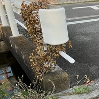 東三8号橋画像