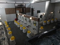Third Tama no Yu画像