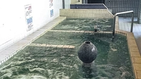 Kannonyu画像