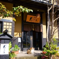 宿坊花忍画像