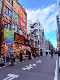 Akihabara Junk Street画像