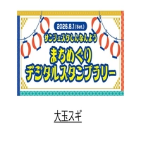 Large cedar画像