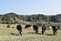 Takahide Ranch画像