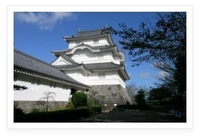Otaki Castle画像