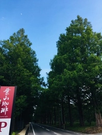 葉山珈琲　メタセコイアGARDEN店画像