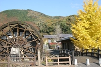 小町の館画像