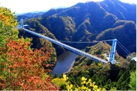竜神大吊橋画像