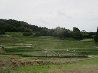 Harimichi Rice Terraces in Towa (Nihonmatsu City)画像