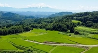 こづちやま棚田（喜多方市）画像
