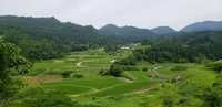 川前棚田（北塩原村）画像
