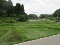 東和の白髭棚田（二本松市）画像