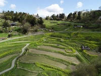 西谷棚田（二本松市）画像