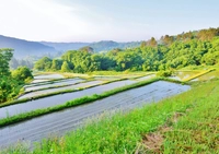 上堰棚田（喜多方市）画像