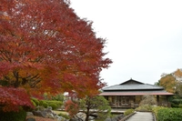 西山の里　桃源画像