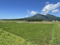 長瀬地区の棚田（猪苗代町）画像