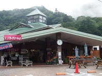 もみじ谷大吊橋（森林の駅）画像