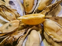 昭和横丁 焼海処 吾空画像