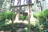 老犬神社画像
