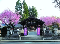 櫻山神社画像